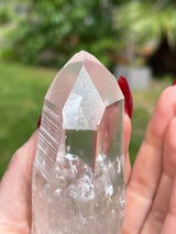 Water Clarity Large Clear Lemurian Seed Crystal from Serra do Cabral, Brazil
