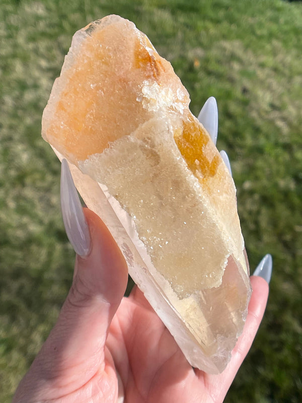 RARE: Record Keeper Dreamsicle Lemurian from Brazil, Rare Lemurian, Record Keeper Lemurian,Orange Lemurian, Extreme grade,Tangerine Lemurian
