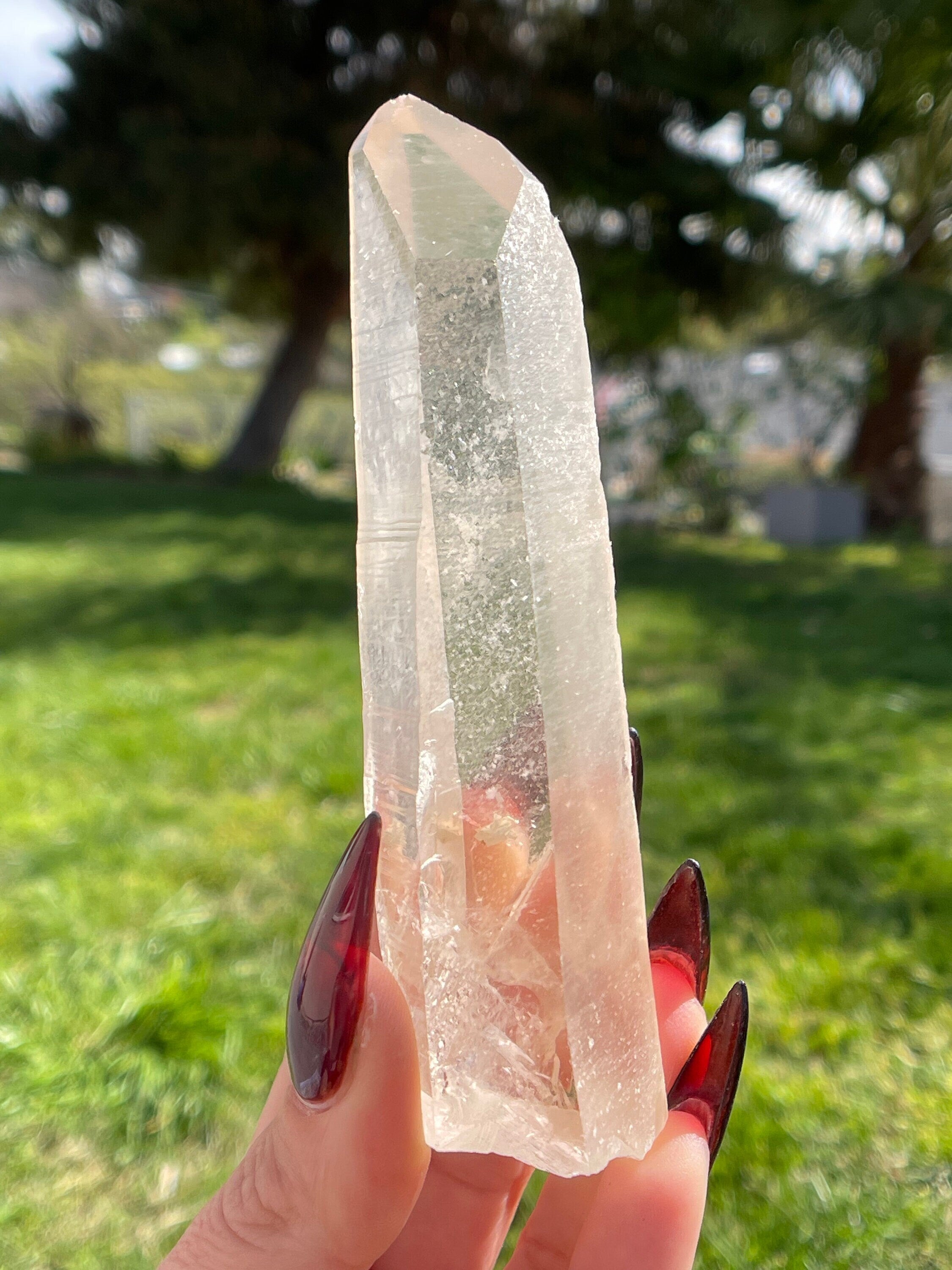 Set of 8 - Moon Chargers - Lemurian STARBRARY Quartz Crystal Point from MG Brazil - high quality Astral Connections