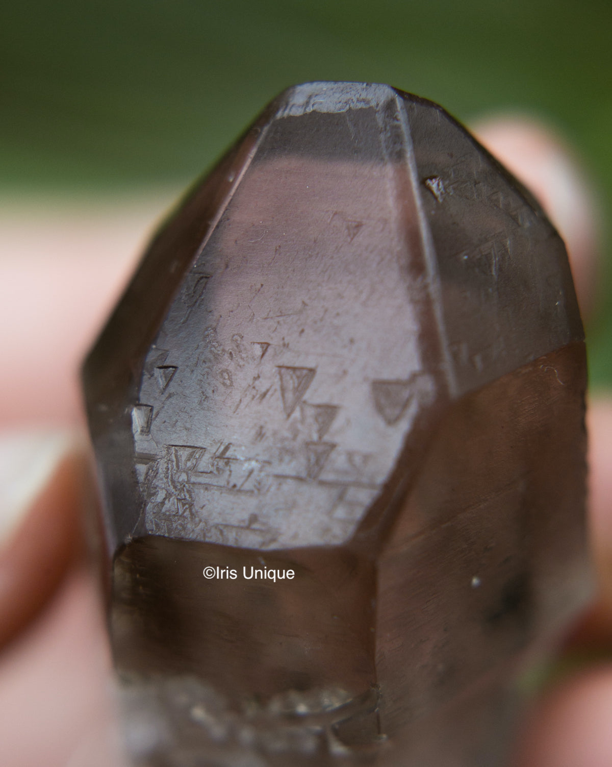 Trigon – Iris Unique