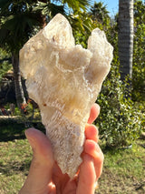 Rare: Thousand Layer Quartz Citrine, with Elestial formations from Brazil
