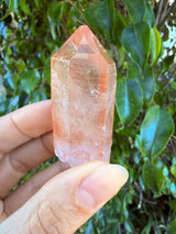 Lotus Quartz 4: Ally