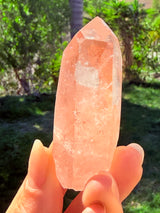 Lotus Quartz 6: Phantom