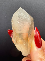 Raised RECORD KEEPER Starbrary Citrine from Brazil