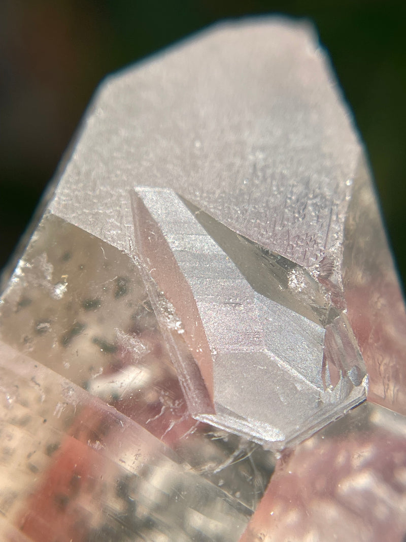 Raised RECORD KEEPER Starbrary Citrine from Brazil