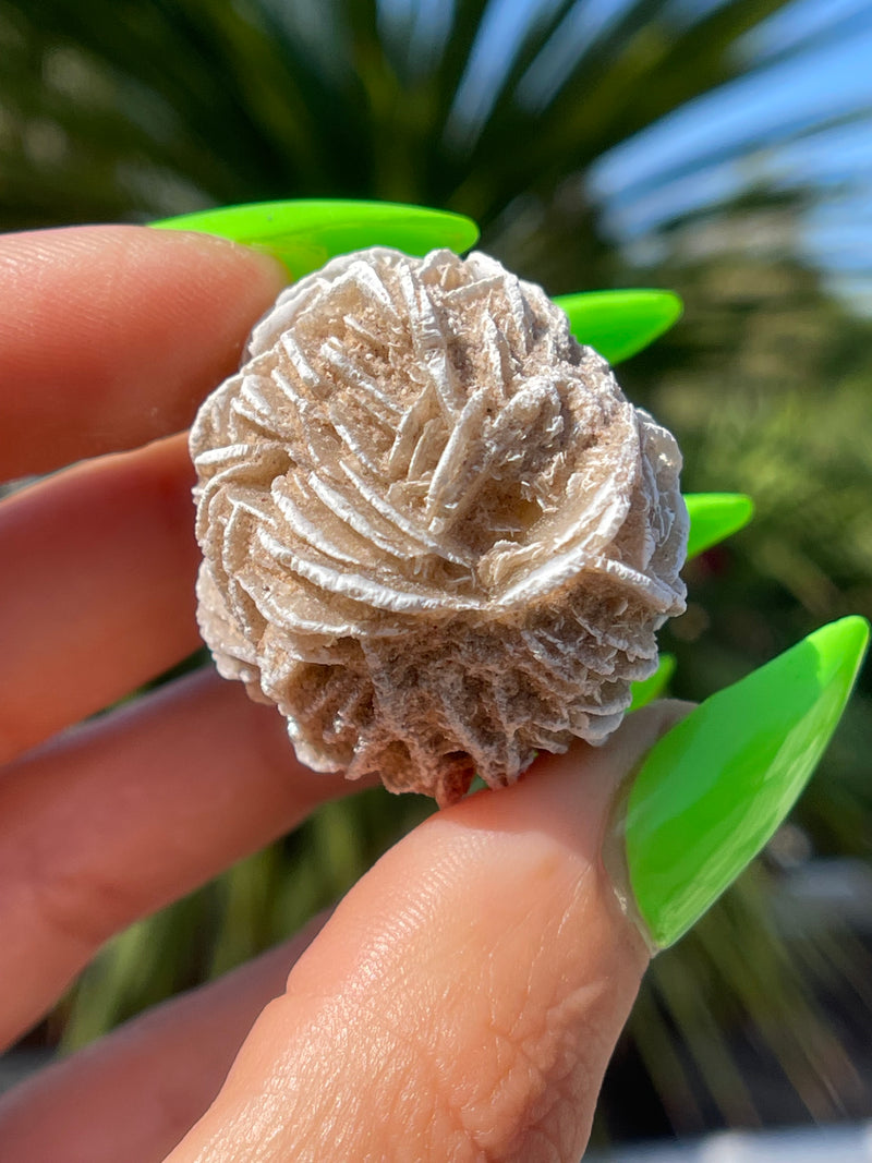 Gypsum Rose, Desert Rose, Desert Selenite, Sand Rose, Natural Crystal, Selenite Gypsum, Gypsum, Desert Rose, Sand Stone, Selenite