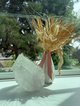 3.5+lb Self Standing Clear Lemurian Seed Crystal from Brazil