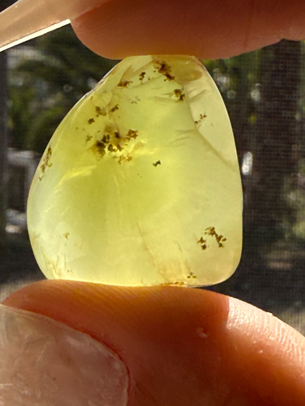 Gem Grade Australian Prehnite D