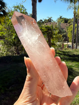 Lotus Quartz 11: Manifestation + Penetrator