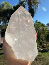 3.5+lb Self Standing Clear Lemurian Seed Crystal from Brazil