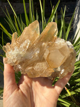 1+lb Smoky/Tangerine Lemurian Cluster: rare Twin Flame + Portal formations