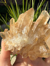 1+lb Smoky/Tangerine Lemurian Cluster: rare Twin Flame + Portal formations
