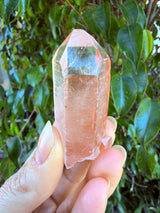 Lotus Quartz 4: Ally