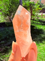 Lotus Quartz 10: Penetrator