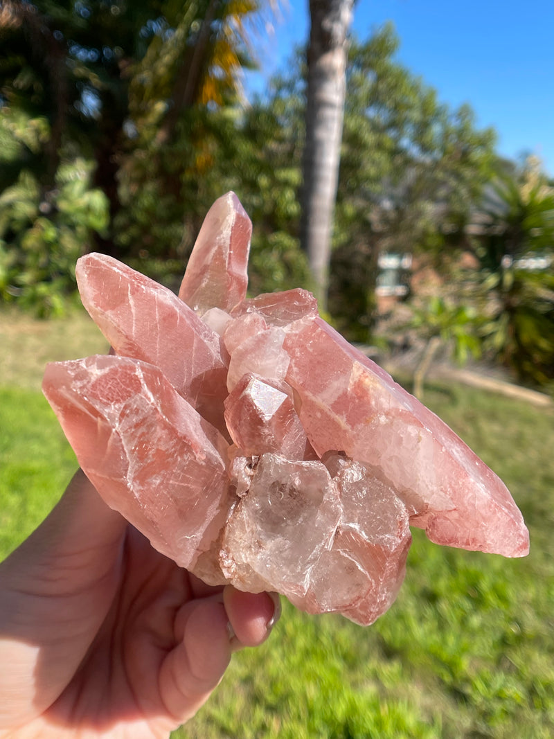 Dreamsicle Scarlet Temple Lemurian Seed Crystal from Brazil, Lemurian Seed Point, Lemurian Seed Crystal, Lemurian Seed Wand,Red Lemurian