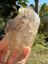 Skeletal Smoky Elestial Quartz from Brazil