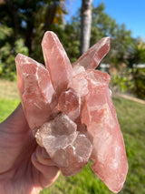 Dreamsicle Scarlet Temple Lemurian Seed Crystal from Brazil, Lemurian Seed Point, Lemurian Seed Crystal, Lemurian Seed Wand,Red Lemurian