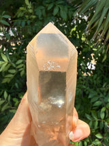 6" Extreme grade Natural CITRINE Lemurian Seed Crystal from Minas Gerais, Brazil- Channeler, Starbrary, Laser, Rainbows etc