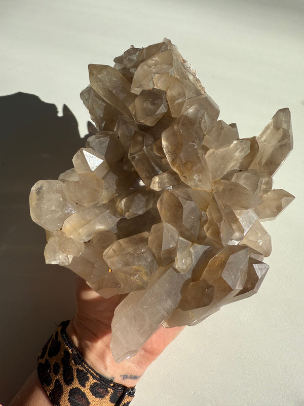 Smoky Quartz: Large Cluster