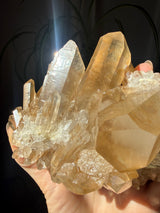 1+lb Smoky/Tangerine Lemurian Cluster: rare Twin Flame + Portal formations