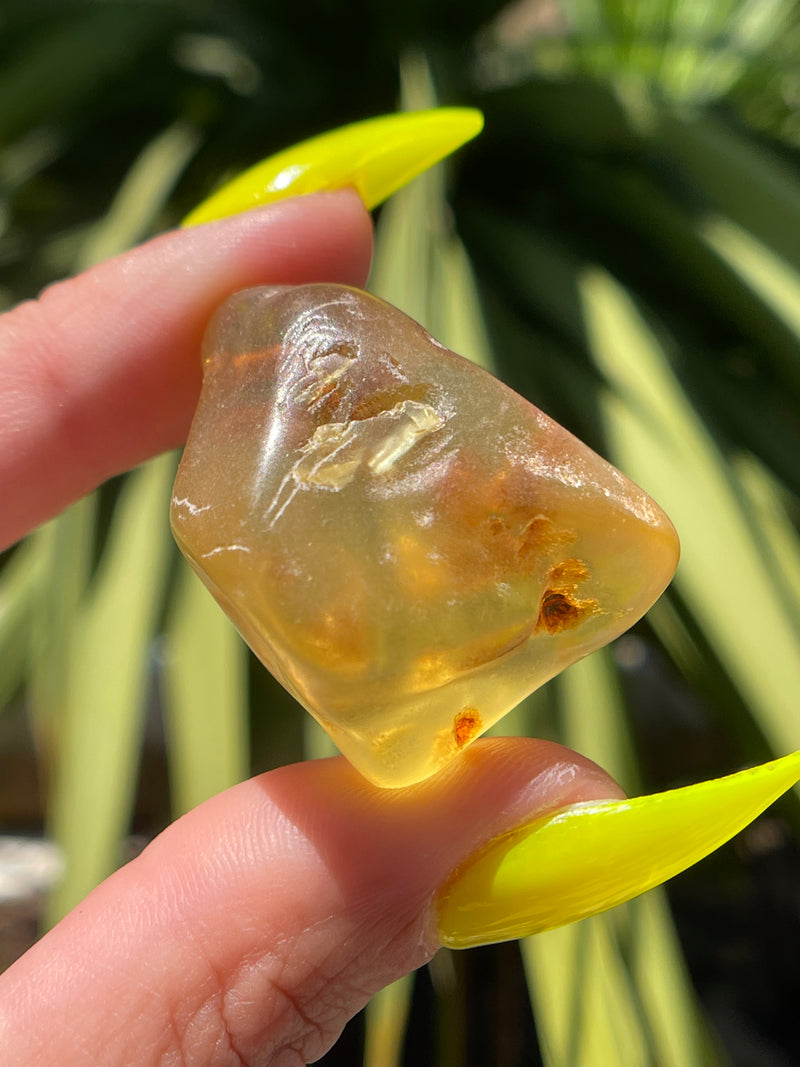 "JOY": High Grade Amber from Colombia, Colombian Amber, Tumbled Amber, Authentic Amber