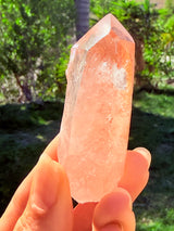 Lotus Quartz 6: Phantom