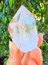 Lotus Quartz 8: Isis + Self Stands