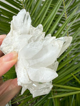 1.25 lb Self Healed Clear Himalayan Quartz Cluster