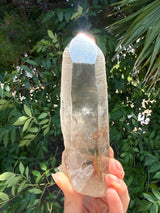 6" Extreme grade Natural CITRINE Lemurian Seed Crystal from Minas Gerais, Brazil- Channeler, Starbrary, Laser, Rainbows etc