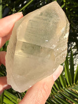Rare DOW Natural CITRINE Lemurian Seed Crystal from Minas Gerais Brazil