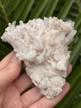 Pink Samadhi Himalayan Quartz Cluster from Pradesh, India