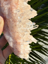 Pink Himalayan Quartz Cluster, Samadhi Himalayan Quartz