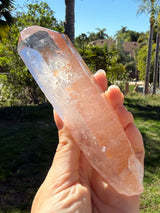 Lotus Quartz 11: Manifestation + Penetrator