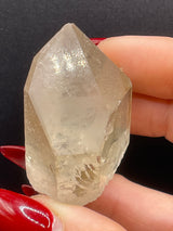 Raised RECORD KEEPER Starbrary Citrine from Brazil