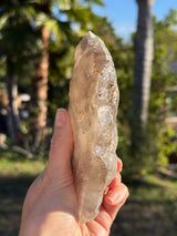 RARE: DT Galactic Key from Brazil