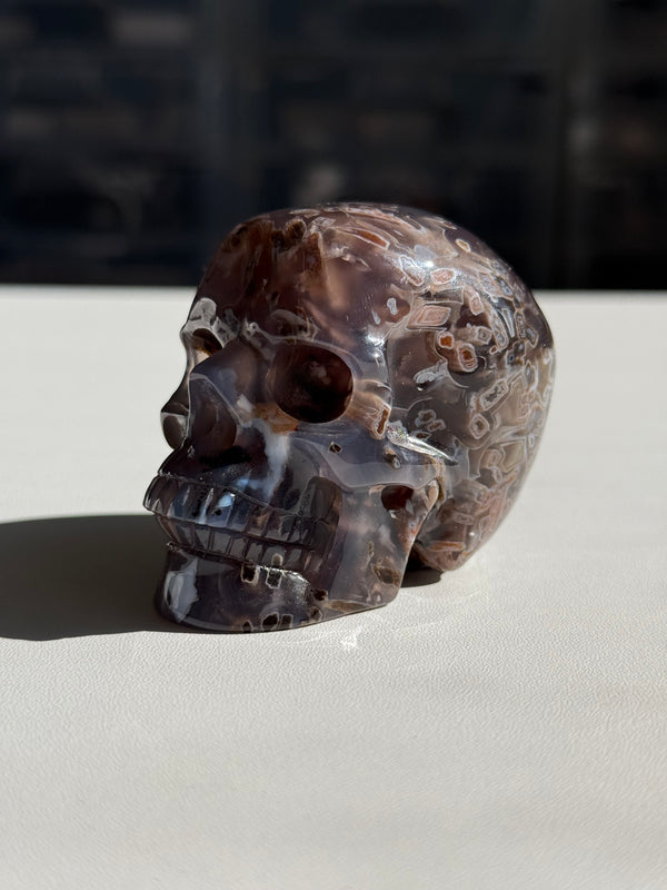 Skull: Large Stick Agate