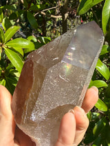 "Rainbow Brite": 5" Sugar Plum Quartz from Goias, Brazil: Rainbows, ET, Ally, Penetrator, Sigils, etc