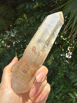 6" Extreme grade Natural CITRINE Lemurian Seed Crystal from Minas Gerais, Brazil- Channeler, Starbrary, Laser, Rainbows etc