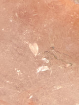 Lotus Quartz 11: Manifestation + Penetrator