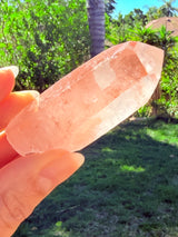 Lotus Quartz 6: Phantom