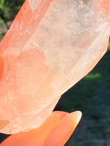 Lotus Quartz 6: Phantom