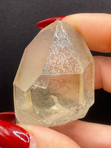 Raised RECORD KEEPER Starbrary Citrine from Brazil