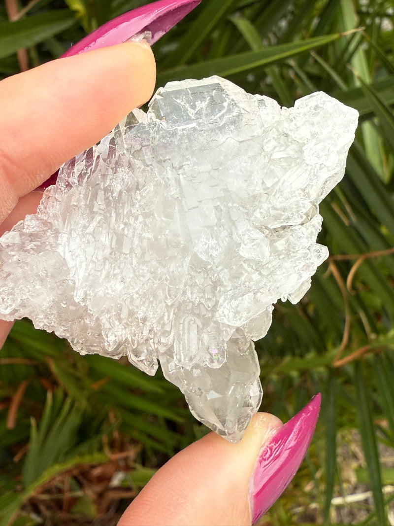 STINGRAY Clear Elestial Quartz from Brazil, Clear Quartz, Alligator Quartz, White Quartz, Elestial Quartz, Skeletal Quartz, Raw