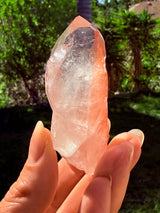 Lotus Quartz 6: Phantom