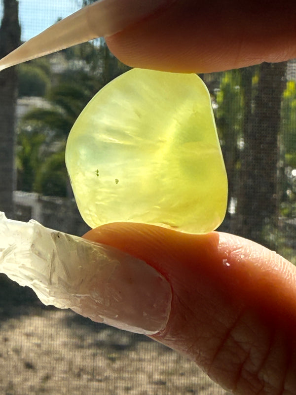 Gem Grade Australian Prehnite C