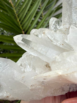 1.25 lb Self Healed Clear Himalayan Quartz Cluster