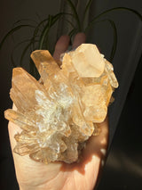 1+lb Smoky/Tangerine Lemurian Cluster: rare Twin Flame + Portal formations