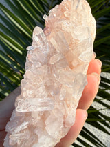 Pink Himalayan Quartz Cluster, Samadhi Himalayan Quartz