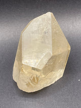 Raised RECORD KEEPER Starbrary Citrine from Brazil