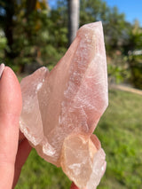 Dreamsicle Scarlet Temple Lemurian Seed Crystal from Brazil, Lemurian Seed Point, Lemurian Seed Crystal, Lemurian Seed Wand,Red Lemurian